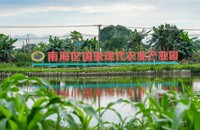 文章配图